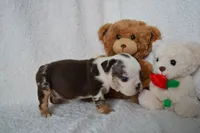 processed/d37fe36e-531f-44b9-ae3e-40408bdf4e1d/listing/cdf005cd-e685-41a7-8a21-05670594151f/00347dde-4d45-4c65-90d5-605dfdbaa950