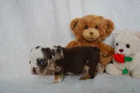 processed/d37fe36e-531f-44b9-ae3e-40408bdf4e1d/listing/cdf005cd-e685-41a7-8a21-05670594151f/00b854d6-d2c3-401f-9dde-66312552d79c