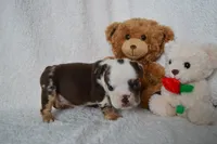 processed/d37fe36e-531f-44b9-ae3e-40408bdf4e1d/listing/cdf005cd-e685-41a7-8a21-05670594151f/4bae8617-58a8-41f0-bb9b-4015e08ebd83