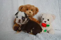 processed/d37fe36e-531f-44b9-ae3e-40408bdf4e1d/listing/cdf005cd-e685-41a7-8a21-05670594151f/900e3489-edb2-41f7-893b-5e0e2cf9032a