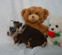 processed/d37fe36e-531f-44b9-ae3e-40408bdf4e1d/listing/cdf005cd-e685-41a7-8a21-05670594151f/ad7bcd08-1437-48b9-bcf2-09e7c9af2a52