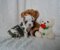 processed/d37fe36e-531f-44b9-ae3e-40408bdf4e1d/listing/fed2bbef-9fa9-4b29-bfa1-067445ed8c8f/1da24c8d-2974-4e9a-8d35-92dffdd000ae