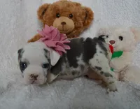 processed/d37fe36e-531f-44b9-ae3e-40408bdf4e1d/listing/fed2bbef-9fa9-4b29-bfa1-067445ed8c8f/5db346b8-6558-436d-8a46-257c52348409