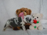 processed/d37fe36e-531f-44b9-ae3e-40408bdf4e1d/listing/fed2bbef-9fa9-4b29-bfa1-067445ed8c8f/63e6f6c8-2826-43aa-92a5-d94d64079fe5