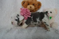 processed/d37fe36e-531f-44b9-ae3e-40408bdf4e1d/listing/fed2bbef-9fa9-4b29-bfa1-067445ed8c8f/f5f5585c-affa-42f1-a3ee-d0b2e00e1b9c