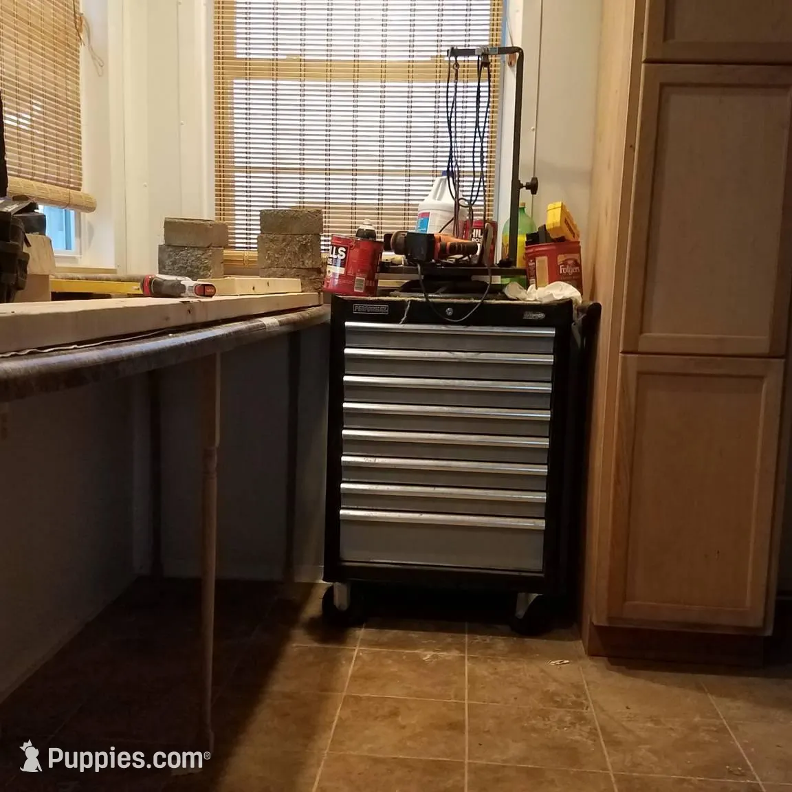 processed/d38f8ff6-7cf8-4841-b1e5-5442ee954da3/facility/0756334e-42f0-475a-b3d9-178f63d70746