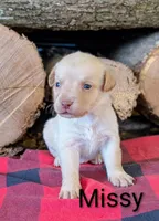 processed/d3c8b0d9-df14-4b73-b167-7e55a6815c97/listing/7e8e3cf5-1817-4e04-a107-f375c461f576/0130e808-07b7-4545-98e9-b075d5dc4b48