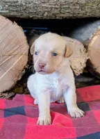 processed/d3c8b0d9-df14-4b73-b167-7e55a6815c97/listing/7e8e3cf5-1817-4e04-a107-f375c461f576/d0dd7f30-dfd0-4489-99af-545e8be4de09