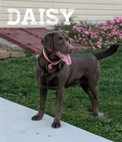 processed/d3c8b0d9-df14-4b73-b167-7e55a6815c97/listing/c59534f0-ebd9-4bf0-a42e-6352af0a2666/6a03dde9-ce1f-478a-b173-0ad37405f531