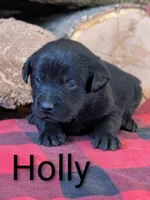 processed/d3c8b0d9-df14-4b73-b167-7e55a6815c97/listing/c59534f0-ebd9-4bf0-a42e-6352af0a2666/fab6e161-5d68-42fc-bfac-1d2d7f053b7b