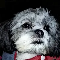 processed/d3df5c86-2aa2-4f9d-9c71-32fce28f7967/facility/13fa6fe5-82a5-4996-a493-8c0fe627f52d