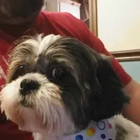 processed/d3df5c86-2aa2-4f9d-9c71-32fce28f7967/facility/15db6615-74c2-4035-b82b-c3b99d74c863