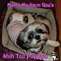 processed/d3df5c86-2aa2-4f9d-9c71-32fce28f7967/facility/16b59942-7181-4f6e-b266-54c434a93dd8