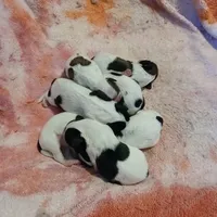 processed/d3df5c86-2aa2-4f9d-9c71-32fce28f7967/facility/2dc96e22-001c-44eb-bf1b-aa1b3f902884