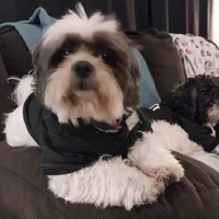 processed/d3df5c86-2aa2-4f9d-9c71-32fce28f7967/facility/51dfa116-b62a-46ad-9781-f23f646b9531