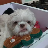 processed/d3df5c86-2aa2-4f9d-9c71-32fce28f7967/facility/8f1c0c8c-ee29-453f-8078-81f6c328b0c4