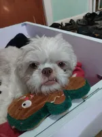 processed/d3df5c86-2aa2-4f9d-9c71-32fce28f7967/facility/8f1c0c8c-ee29-453f-8078-81f6c328b0c4