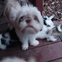 processed/d3df5c86-2aa2-4f9d-9c71-32fce28f7967/facility/df9b3cc0-eeb5-4c67-853d-7453cce76c7d