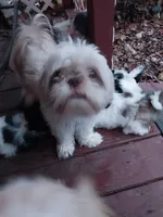 processed/d3df5c86-2aa2-4f9d-9c71-32fce28f7967/facility/df9b3cc0-eeb5-4c67-853d-7453cce76c7d