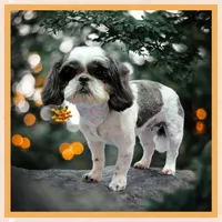 processed/d3df5c86-2aa2-4f9d-9c71-32fce28f7967/facility/f895cb0a-5e4f-491e-9319-a2cafc21ee62