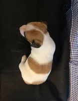 processed/d3e46b79-4ef7-4387-9a14-c6fe0b6fda09/listing/9c96a2ea-a966-4535-8a3f-a80e6089c00d/60e56102-7114-42c2-9c4b-bb131b607c30