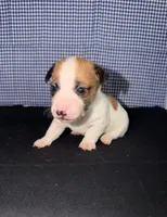 processed/d3e46b79-4ef7-4387-9a14-c6fe0b6fda09/listing/9c96a2ea-a966-4535-8a3f-a80e6089c00d/f40b53b4-cb1e-4332-a0c4-a05bdd072e3e