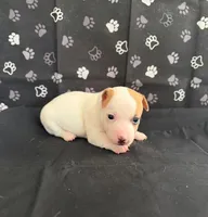 processed/d3e46b79-4ef7-4387-9a14-c6fe0b6fda09/listing/df06e099-14a1-42fa-8327-5fa9cba224ea/2621f08c-d343-44a2-ae13-ebaef7d2c3eb