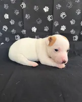 processed/d3e46b79-4ef7-4387-9a14-c6fe0b6fda09/listing/df06e099-14a1-42fa-8327-5fa9cba224ea/3aeb716e-9063-4e49-bec8-8355f9badcc2