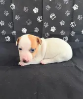 processed/d3e46b79-4ef7-4387-9a14-c6fe0b6fda09/listing/df06e099-14a1-42fa-8327-5fa9cba224ea/4f3132ec-f36b-445e-897b-4bc4e598de7b