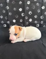 processed/d3e46b79-4ef7-4387-9a14-c6fe0b6fda09/listing/df06e099-14a1-42fa-8327-5fa9cba224ea/5f4be687-80b2-4fce-8b5e-084e3fe9c995