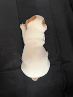 processed/d3e46b79-4ef7-4387-9a14-c6fe0b6fda09/listing/df06e099-14a1-42fa-8327-5fa9cba224ea/cd2164a4-6285-40d9-8eed-dc666db8c5e2