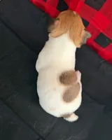 processed/d3e46b79-4ef7-4387-9a14-c6fe0b6fda09/listing/f2da138a-f9c2-4312-89ce-4a44ef28627a/27f029b9-7d88-4a3a-bc31-155405e950a9