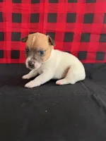 processed/d3e46b79-4ef7-4387-9a14-c6fe0b6fda09/listing/f2da138a-f9c2-4312-89ce-4a44ef28627a/7238466d-bfc9-40cd-8309-21316a6127ca