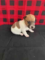 processed/d3e46b79-4ef7-4387-9a14-c6fe0b6fda09/listing/f2da138a-f9c2-4312-89ce-4a44ef28627a/c291046b-594d-4951-be01-c4a91745c9a2