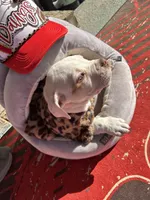 processed/d3eb966c-ba43-45e5-88a5-dfda3ea6a995/listing/51891de2-6573-4f14-b881-723f82fb9f9a/64a1e094-7354-4db3-85a7-f913751cd9dd