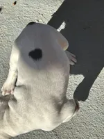 processed/d3eb966c-ba43-45e5-88a5-dfda3ea6a995/listing/b412432b-ca83-44db-bf0a-fdb454603921/723f6dd0-ca75-4316-9e72-f49e3d22a705