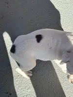 processed/d3eb966c-ba43-45e5-88a5-dfda3ea6a995/listing/b412432b-ca83-44db-bf0a-fdb454603921/782563b7-9186-4722-a3ca-d51564172fd1