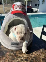 processed/d3eb966c-ba43-45e5-88a5-dfda3ea6a995/listing/b412432b-ca83-44db-bf0a-fdb454603921/c0c030cd-dd38-4a14-9f2c-49ef5dfa0bf6