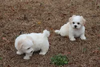 processed/d3ebba6d-e3f6-4e68-b139-6f4d030e9805/listing/7dee5fdc-0871-4e3e-9ad6-293c70ddd59e/26fc43ce-b4e7-4ecb-8ed1-5b81583dd2e9