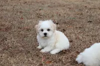 processed/d3ebba6d-e3f6-4e68-b139-6f4d030e9805/listing/7dee5fdc-0871-4e3e-9ad6-293c70ddd59e/35a9d146-0920-4ceb-b02e-47442fee27fc