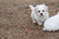 processed/d3ebba6d-e3f6-4e68-b139-6f4d030e9805/listing/7dee5fdc-0871-4e3e-9ad6-293c70ddd59e/36a5debe-0c32-44a2-a615-4200427d5312