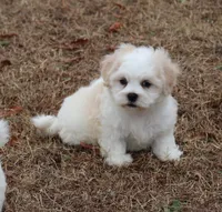 processed/d3ebba6d-e3f6-4e68-b139-6f4d030e9805/listing/7dee5fdc-0871-4e3e-9ad6-293c70ddd59e/faed6401-9804-4144-b2e2-c6f599f58eed