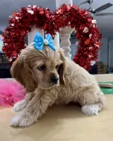 processed/d3f4dbf1-1047-48e8-b41c-dc33f195e145/listing/1653370d-9ccd-47a1-9903-b452eebaa666/2a14f707-d63a-4634-8399-18fdd1bf9a89