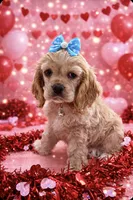 processed/d3f4dbf1-1047-48e8-b41c-dc33f195e145/listing/1653370d-9ccd-47a1-9903-b452eebaa666/389b605d-9645-4918-83dd-bb97b98f5054