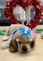 processed/d3f4dbf1-1047-48e8-b41c-dc33f195e145/listing/1653370d-9ccd-47a1-9903-b452eebaa666/80013d80-eb0f-47ef-ac61-f028a6a92612