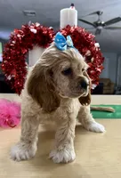 processed/d3f4dbf1-1047-48e8-b41c-dc33f195e145/listing/1653370d-9ccd-47a1-9903-b452eebaa666/832832cf-d78a-4ef6-89e1-80e27905255f