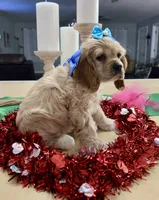 processed/d3f4dbf1-1047-48e8-b41c-dc33f195e145/listing/1653370d-9ccd-47a1-9903-b452eebaa666/93fbd141-4299-4d7c-aa56-8f8b0c6d6d1f