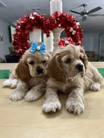 processed/d3f4dbf1-1047-48e8-b41c-dc33f195e145/listing/1653370d-9ccd-47a1-9903-b452eebaa666/a415e270-507c-42f3-afbc-90e16785536d