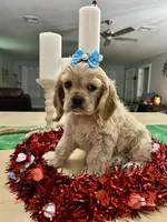 processed/d3f4dbf1-1047-48e8-b41c-dc33f195e145/listing/1653370d-9ccd-47a1-9903-b452eebaa666/dc200e0c-f750-445a-8be9-58737fccf744