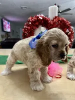 processed/d3f4dbf1-1047-48e8-b41c-dc33f195e145/listing/1653370d-9ccd-47a1-9903-b452eebaa666/f23f4346-7a7e-4cc2-b237-3d06f9e1977f